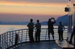 Guided Alaska Nature, Wildlife and Birding Tour